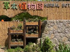-同里国家湿地公园