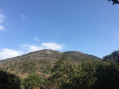 -宝岩生态观光园