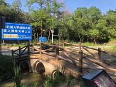 -白水寺森林公园
