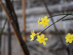 -西安关中民俗艺术博物院