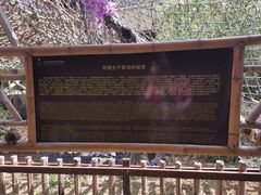 -呀路古热带植物园
