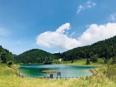 -武陵山森林公园