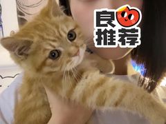 -纳吉亚猫专科动物医院博雅分院
