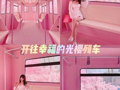 -金茂览秀城