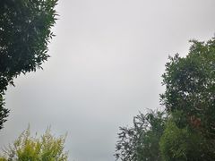 -西青郊野公园