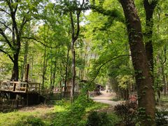 -WeLope紫金山探险公园