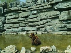 -北京野生动物园