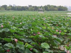 -云龙湖旅游景区