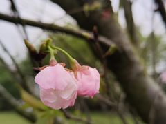 -福建鲤鱼洲酒店