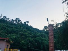 -鲤鱼塘农家山庄