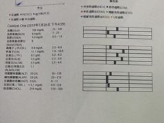 -康成宠物医院24H·CT·核磁共振