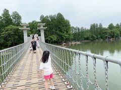 -东湖落雁景区