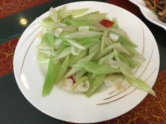 -丁老爷子苏香圆