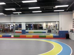 -米高蓝斯克国际轮滑中心(中铁建店)