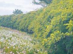-良渚古城遗址公园