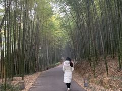 -苏州环秀晓筑养生度假村