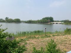 -大兴滨河森林公园