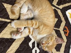 -美联众合24小时·皮肤科·外科·全科诊疗中心(华苑分院)