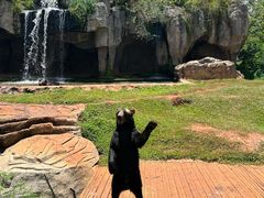 -海南热带野生动植物园