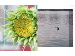 -后海公园