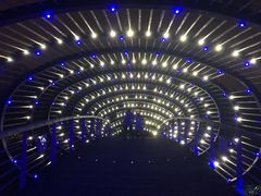 -南翔镇银翔湖公园
