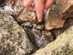 -东戴河风景区-止锚湾