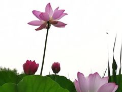-东郊湿地公园