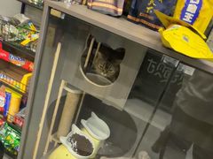 -财東财·棋牌(五角场店)