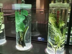 -广东中医药博物馆