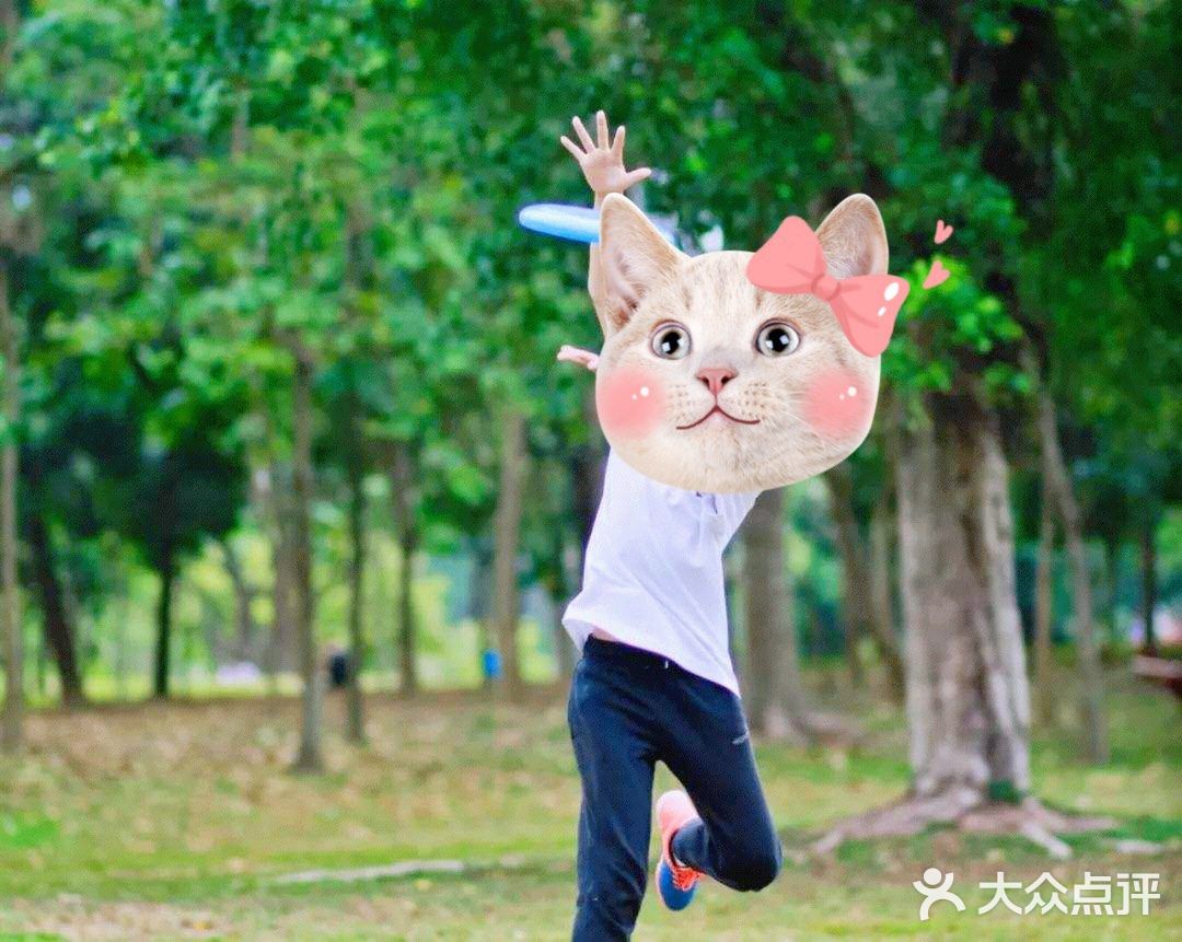不一样的小众运动