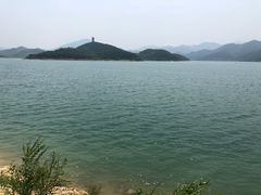 -望湖烤鱼