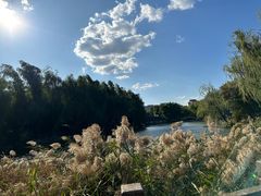 -三忘湖 SWANSEEN(柳荫公园店)