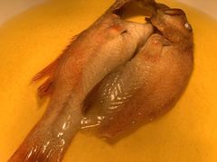 -甄御•海鲜新青岛菜(麦岛店)