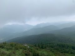 -武陵山森林公园
