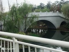 -春花秋色城市公园