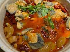 -卢大鲜鱼头捞饭(美利广场店)
