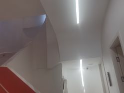 -WENDY·温迪皮肤管理