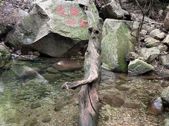 -洛阳花果山景区