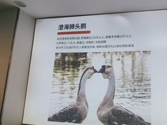 -陆记鹅庄·潮汕菜·狮头鹅(大仟里店)