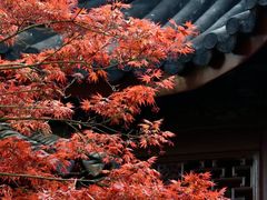 -山塘街
