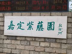 -嘉定紫藤园