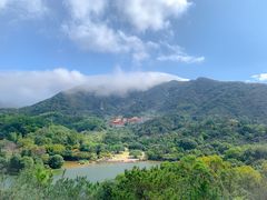 -深圳仙湖植物园