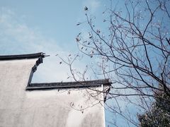 -南浔古镇