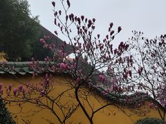 -龙游石窟