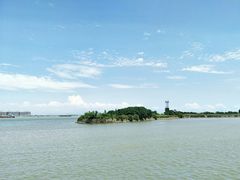 -大湾区中央湿地公园-十九涌