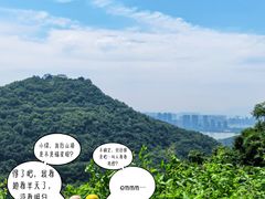 -九曜山