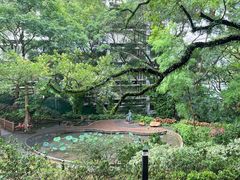 -香港大学
