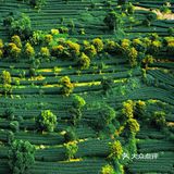 小众宝藏旅游胜地——云浮翔顺象窝山生态园