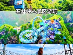 -桔子文创·企业团建·活动策划·拓展会议