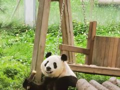 -西安秦岭野生动物园